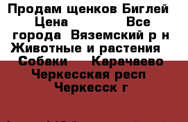 Продам щенков Биглей › Цена ­ 15 000 - Все города, Вяземский р-н Животные и растения » Собаки   . Карачаево-Черкесская респ.,Черкесск г.